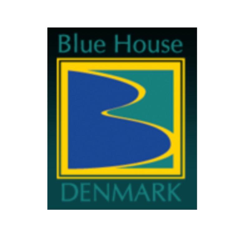 فيلا Blue House دنمارك المظهر الخارجي الصورة